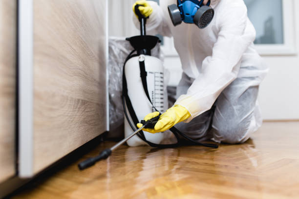 Flea Control Services in Higganum, CT
