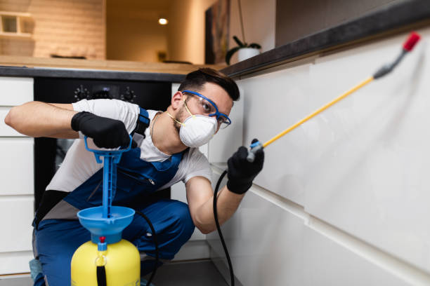 Best Termite Control Services  in Higganum, CT