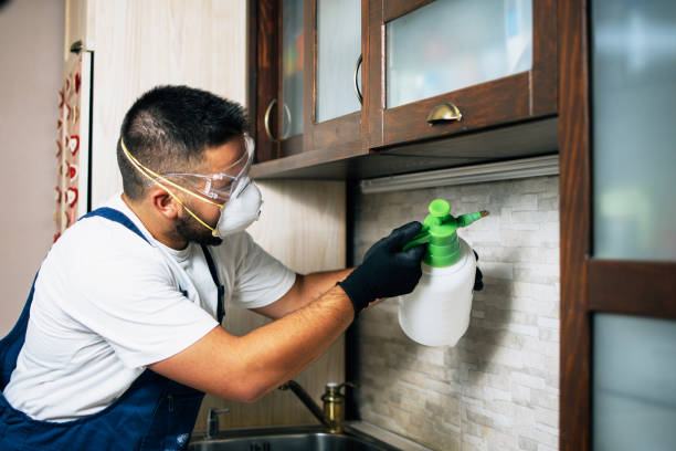 Reliable Higganum, CT Pest Control Solutions