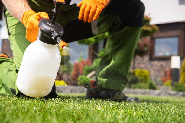 Flea Control Services in Higganum, CT