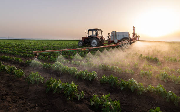 Best Mosquito Control Services  in Higganum, CT