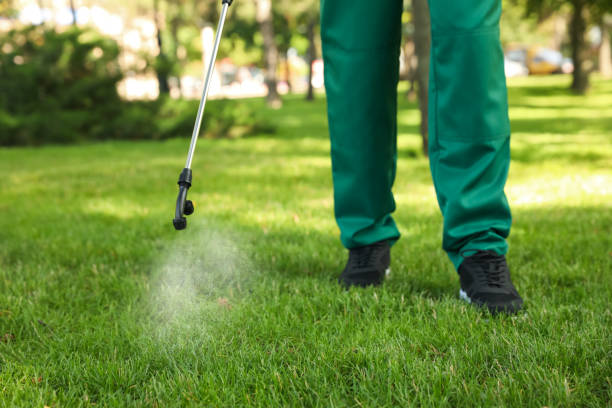 Best Pest Prevention Services  in Higganum, CT
