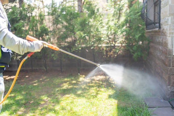 Best Pest Inspection Near Me  in Higganum, CT