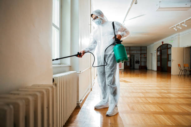 Best Wildlife Control Services  in Higganum, CT